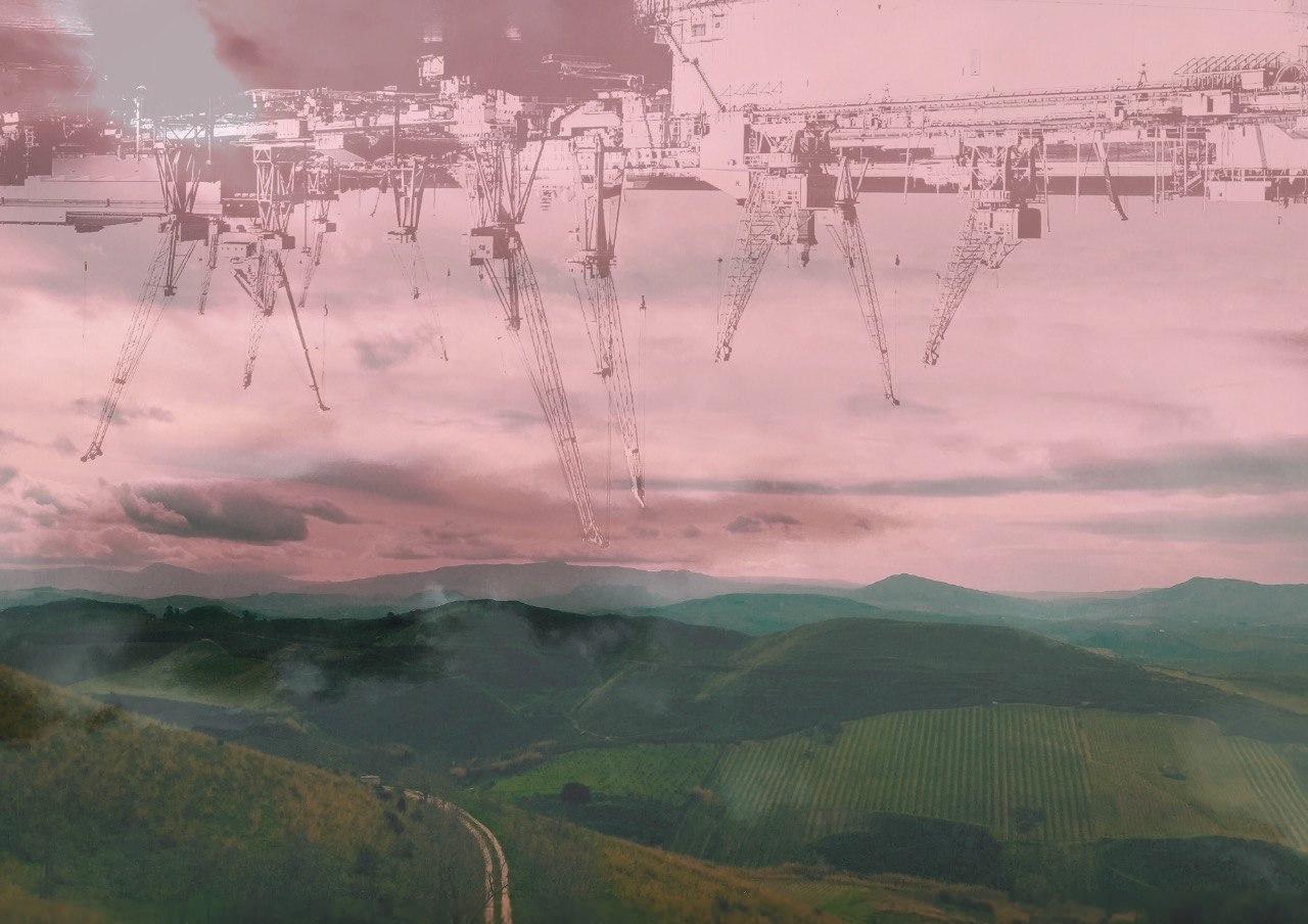 Lungo la via dell’indisciplina